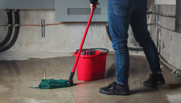 Best Residential water damage restoration  in Los Ranchos De Albuquerque, NM