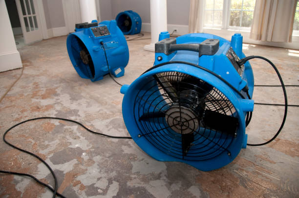 Best Ceiling water damage repair  in Los Ranchos De Albuquerque, NM