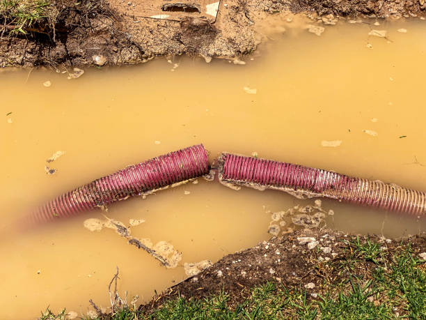 Water damage restoration insurance claims in Los Ranchos De Albuquerque, NM